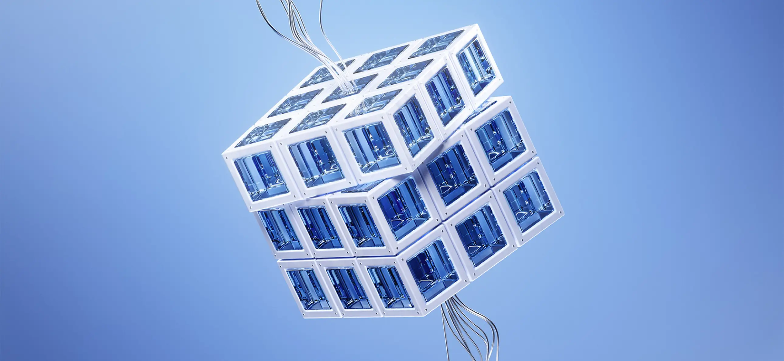 The Next Success - Blog Image